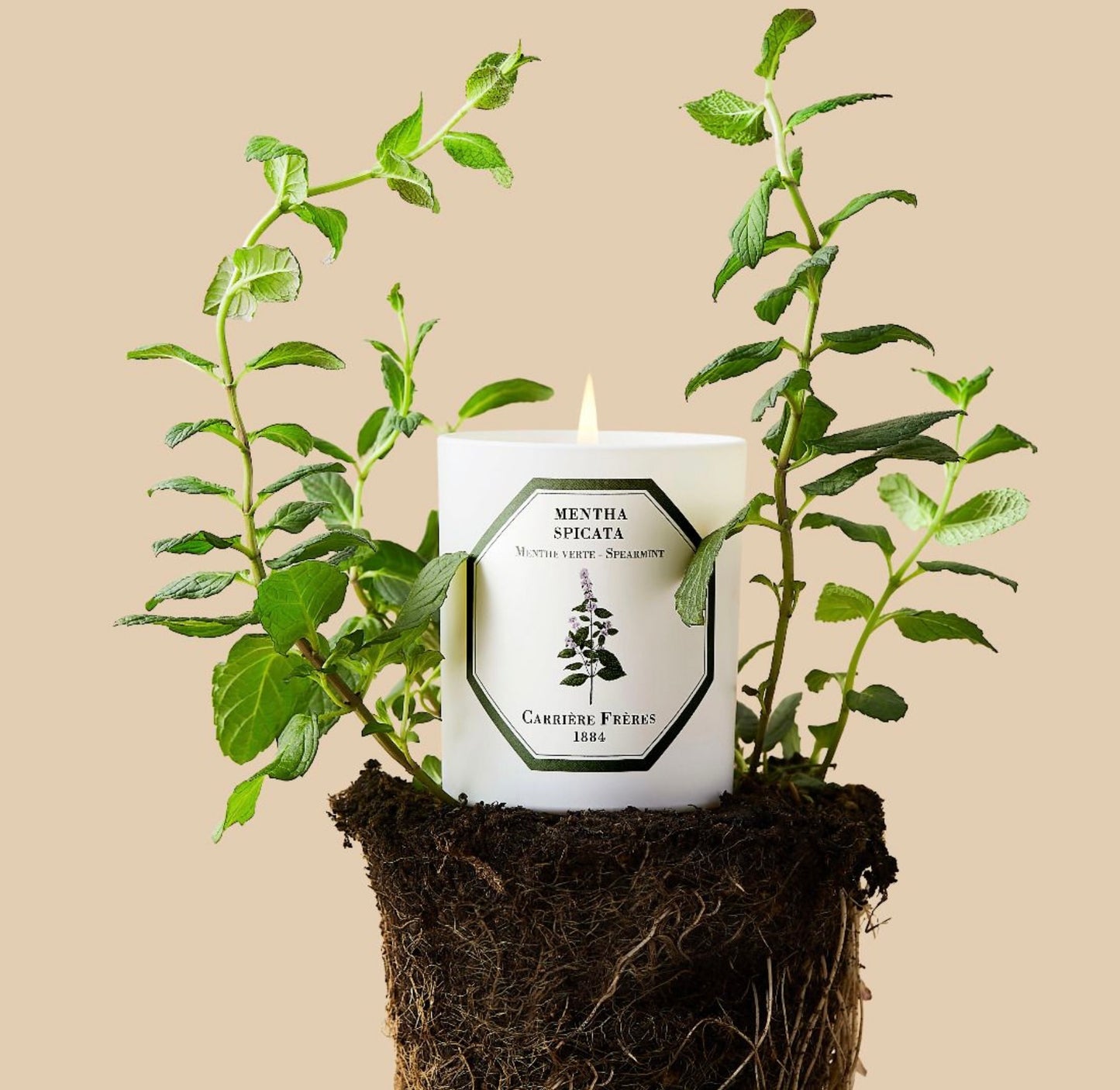 Carriere Freres Spearmint Candle