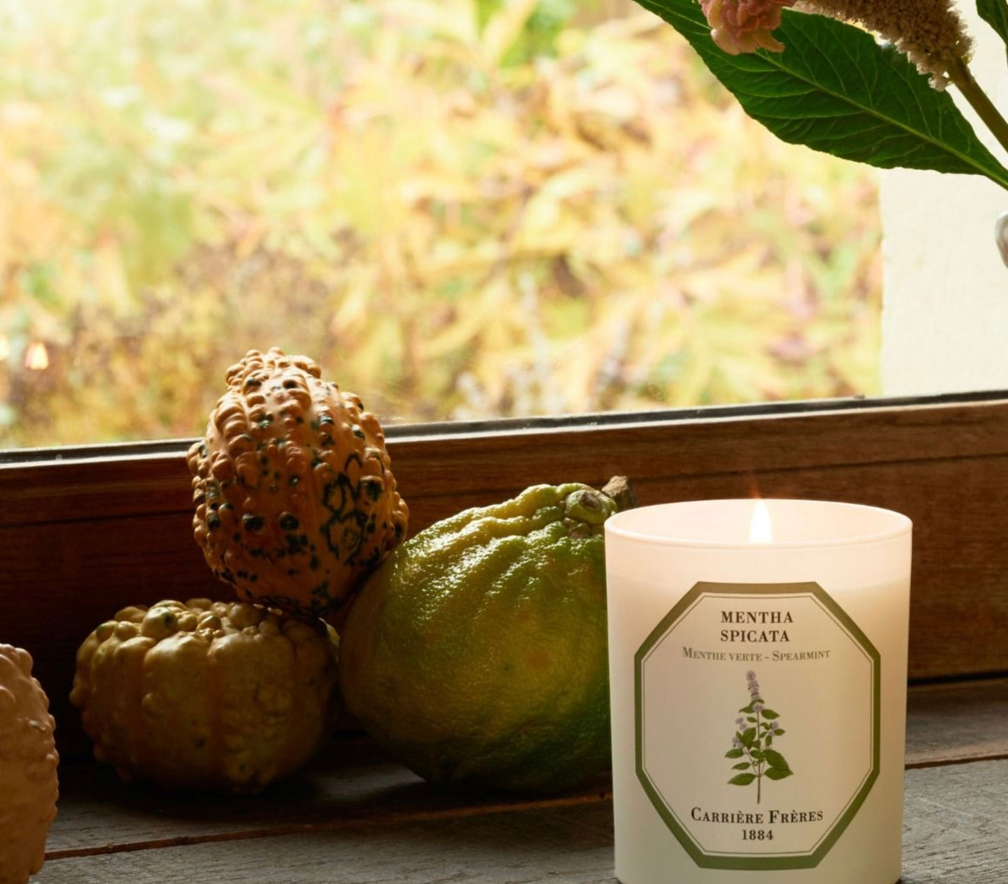 Carriere Freres Spearmint Candle