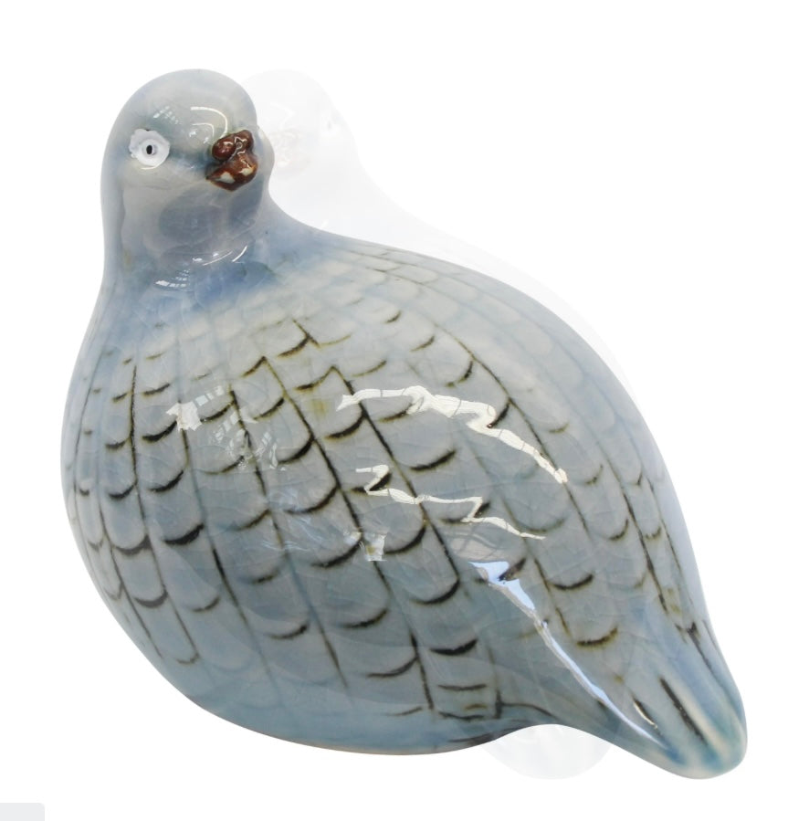 Guinea Fowl Soft Blue Low Looking