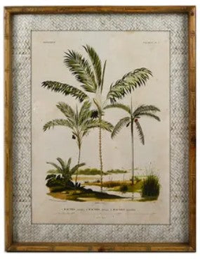 Oaklyn Palm Art Print 1