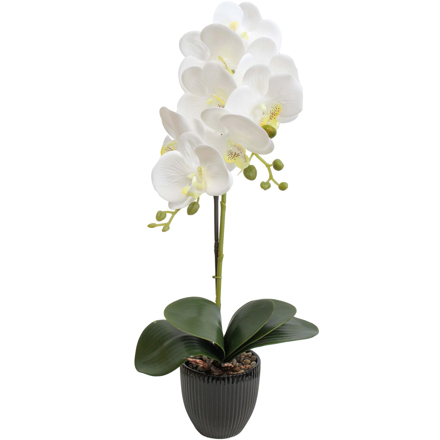 Faux Orchid Single White 50cm Black Pot