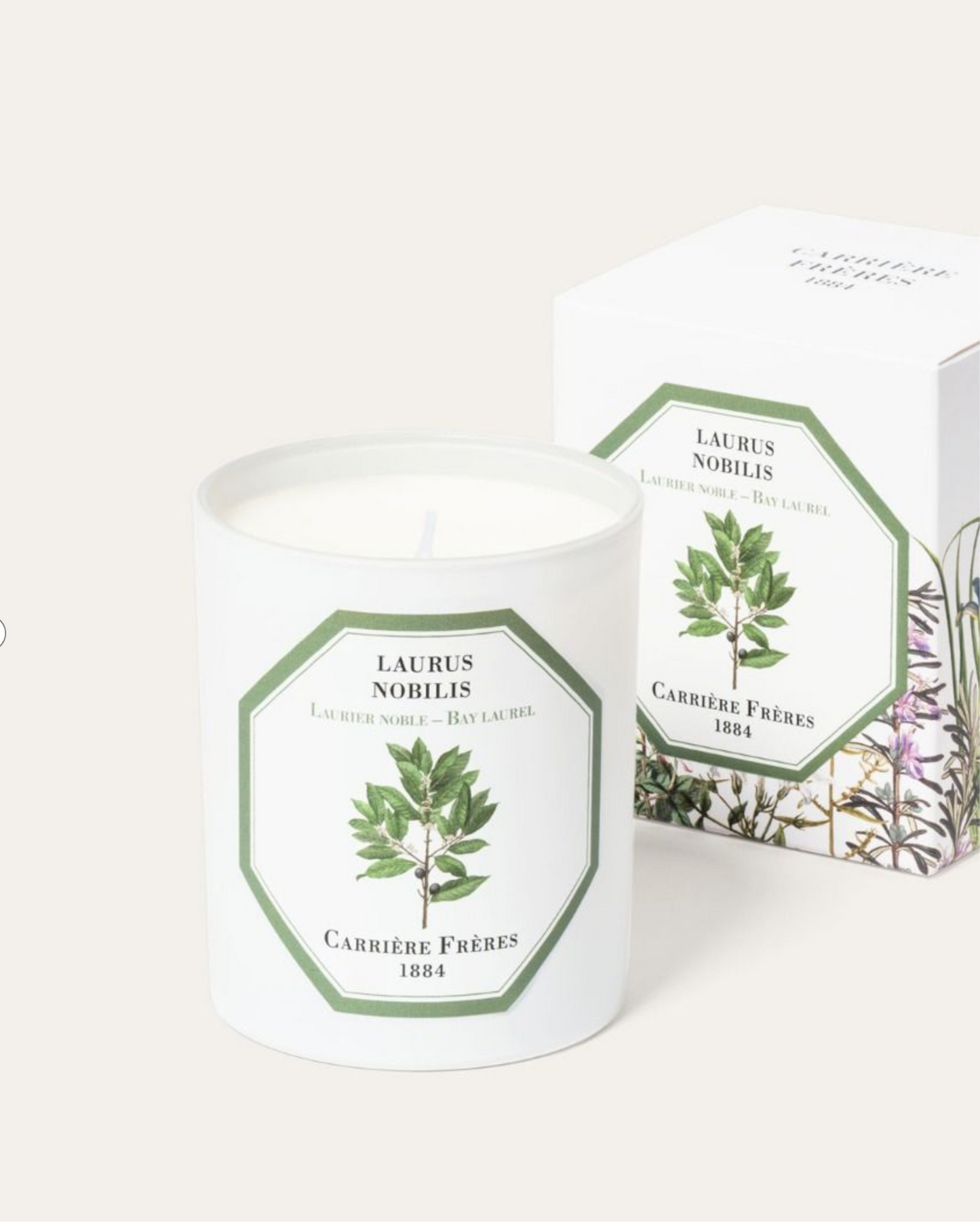 Carriere Freres Bay Laurel Candle