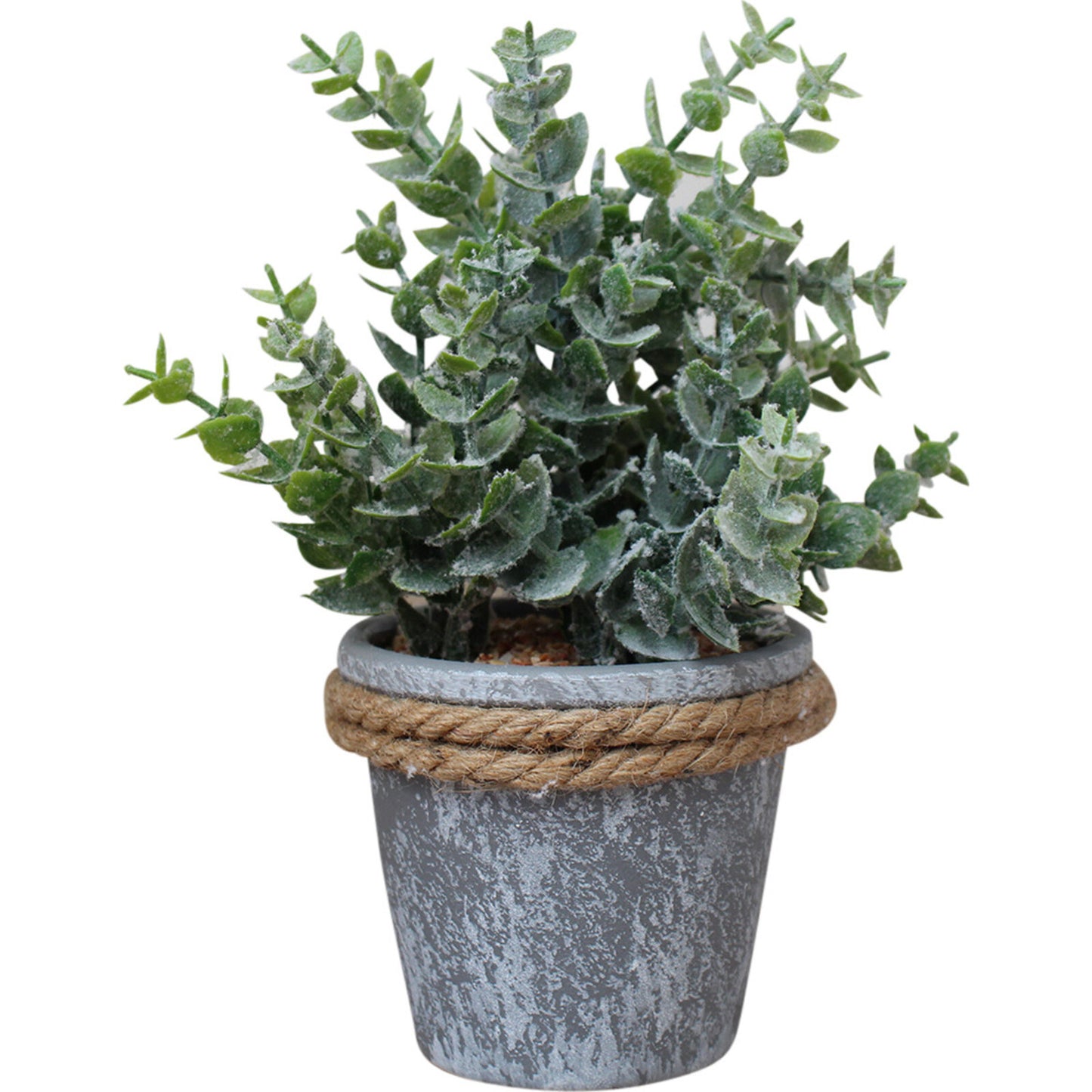 Gum Leaf in Galvanised + Rope Pot