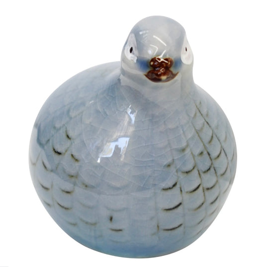 Guinea Quail Soft Blue