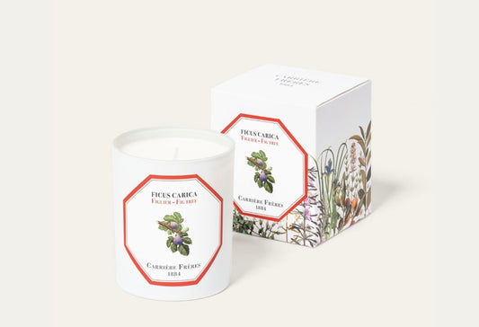 Carriere Freres Fig Tree Candle