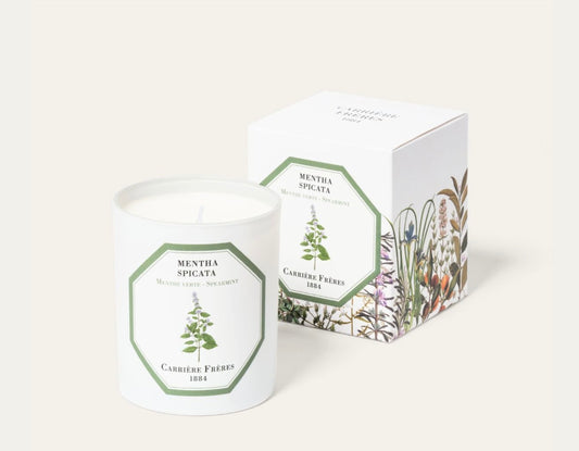 Carriere Freres Spearmint Candle