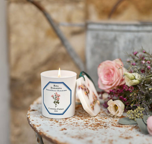 Carriere Freres Damask Rose Candle