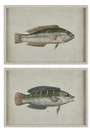 Pez Frame Glass Prints (Set/2)