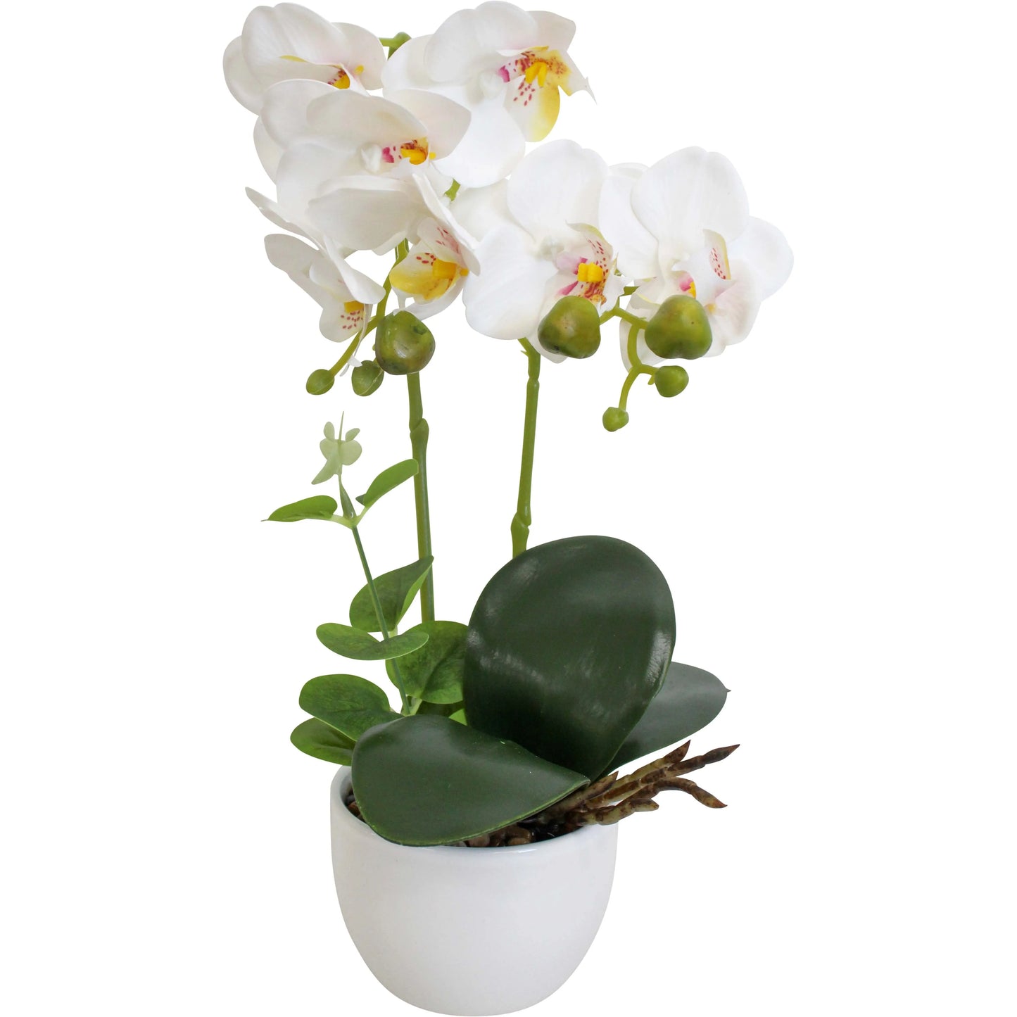 Faux Orchid Double White 36cm White Pot