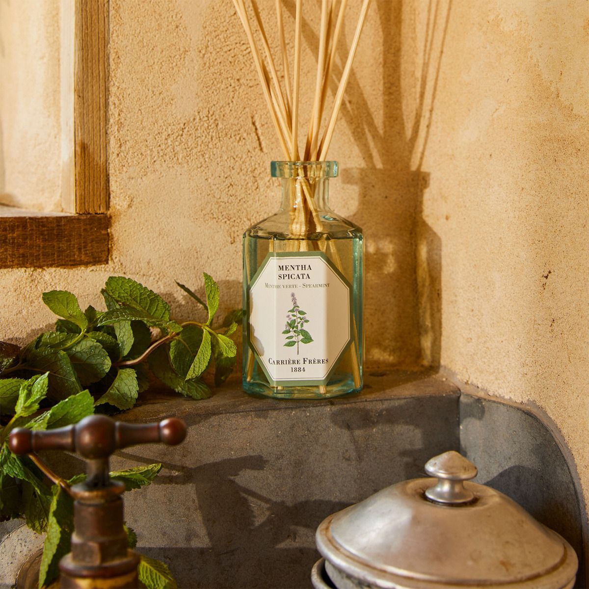 Carriere Freres Diffuser - Spearmint