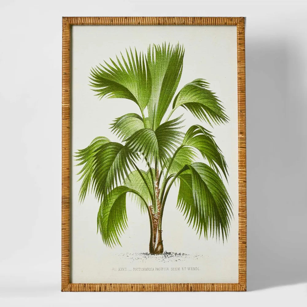 Art - Palm Botanical #1