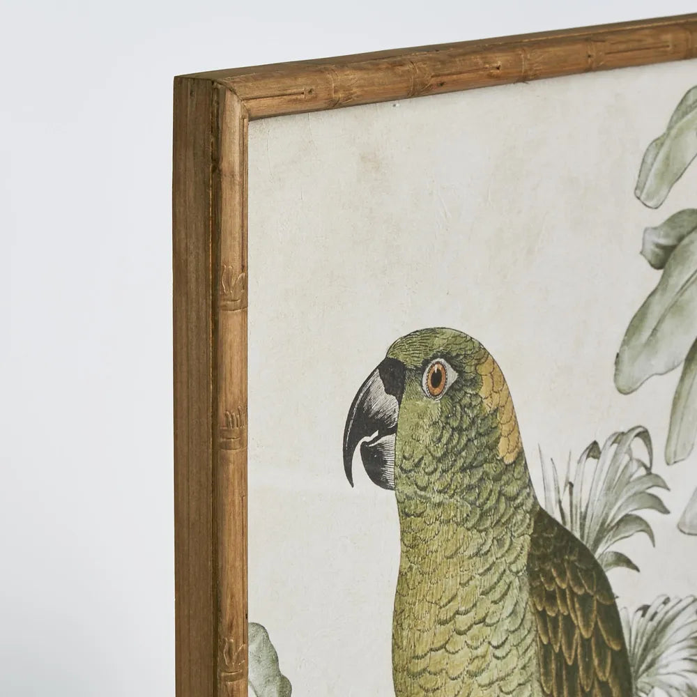 Jungle Parrot Wall Art B L 50cm W 2.8cm H 70cm