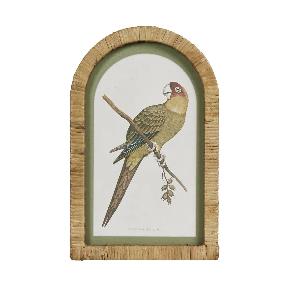 Parrots in Arches Wall Art Set of 4